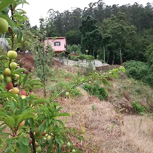  Vakantieboerderij Quinta Vista Para O Pico